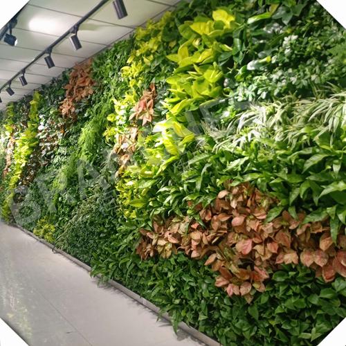 Cheap Price Green Artificial Wall  Plants